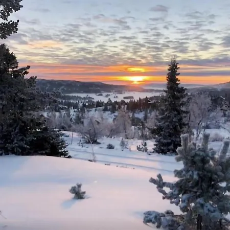 4 Bedroom Stunning In Nissedal Kyrkjebygdi