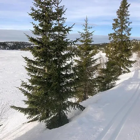 Accogliente Casa A Nissedal Con Cucina *
