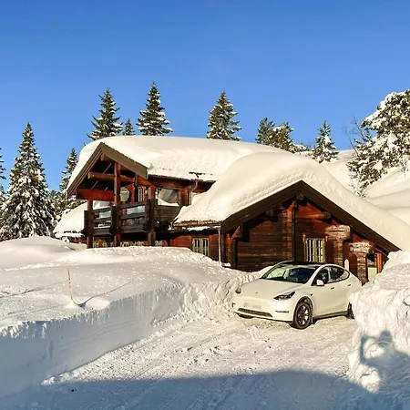 4 Bedroom Stunning In Nissedal Holiday home *