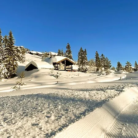 Holiday home 4 Bedroom Stunning In Nissedal