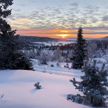 4 Bedroom Stunning In Nissedal Feriehus