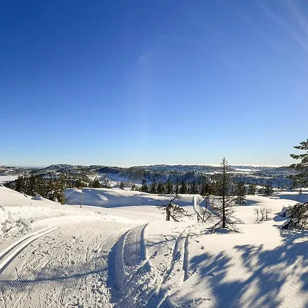 4 Bedroom Stunning In Nissedal * Kyrkjebygdi