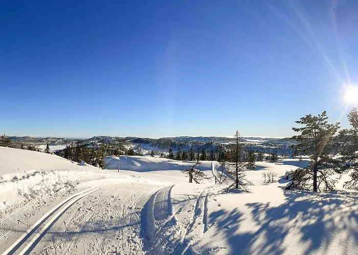 4 Bedroom Stunning In Nissedal * Kyrkjebygdi