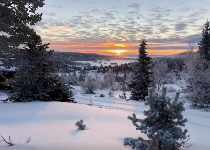 4 Bedroom Stunning In Nissedal Kyrkjebygdi