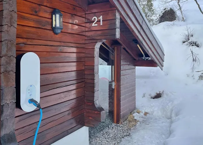 4 Bedroom Stunning In Nissedal Kyrkjebygdi